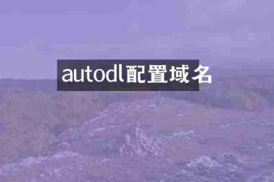 autodl配置域名