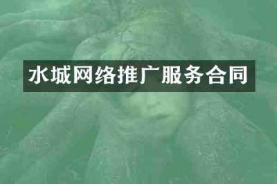 水城网络推广服务合同