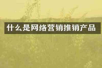什么是网络营销推销产品