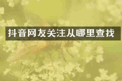 抖音网友关注从哪里查找