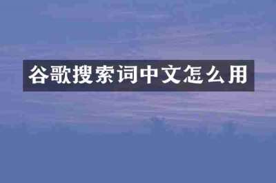 谷歌搜索词中文怎么用