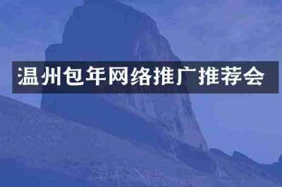 温州包年网络推广推荐会