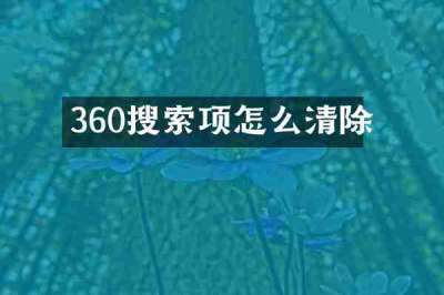 360搜索项怎么清除