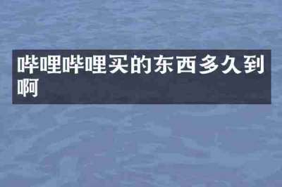 哔哩哔哩买的东西多久到啊