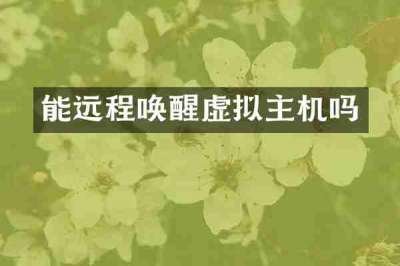 能远程唤醒虚拟主机吗