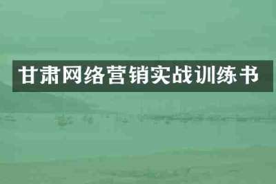 甘肃网络营销实战训练书