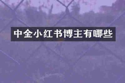 中金小红书博主有哪些