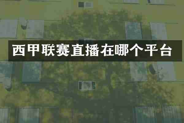 西甲联赛直播在哪个平台