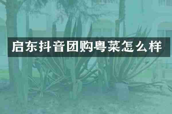 启东抖音团购粤菜怎么样