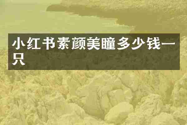 小红书素颜美瞳多少钱一只