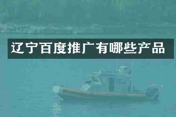 辽宁百度推广有哪些产品