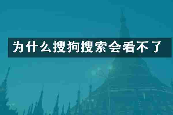 为什么搜狗搜索会看不了