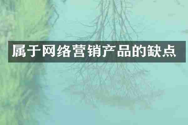 属于网络营销产品的缺点