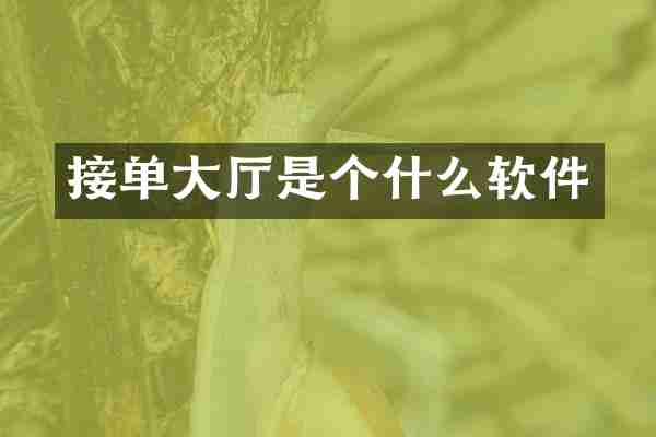 接单大厅是个什么软件