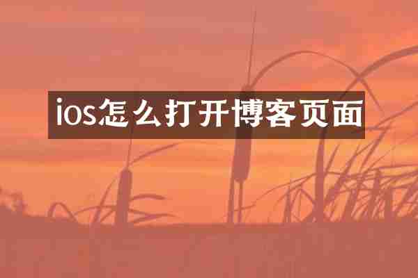 ios怎么打开博客页面