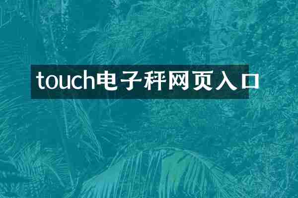 touch电子秤网页入口