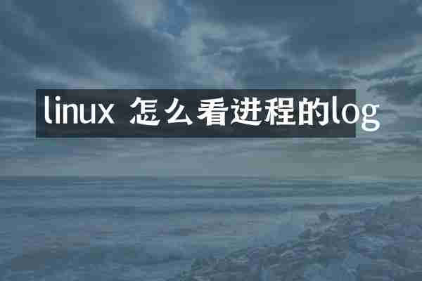 linux 怎么看进程的log