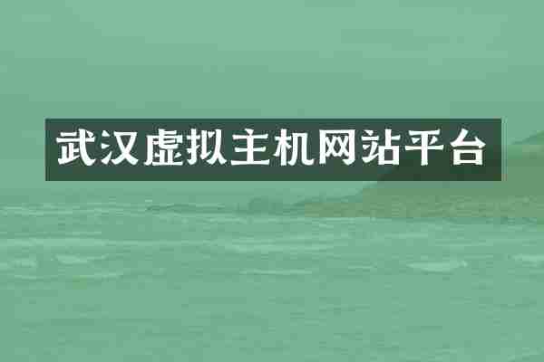武汉虚拟主机网站平台