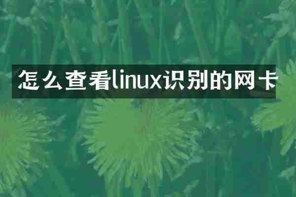 怎么查看linux识别的网卡