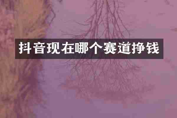 抖音现在哪个赛道挣钱
