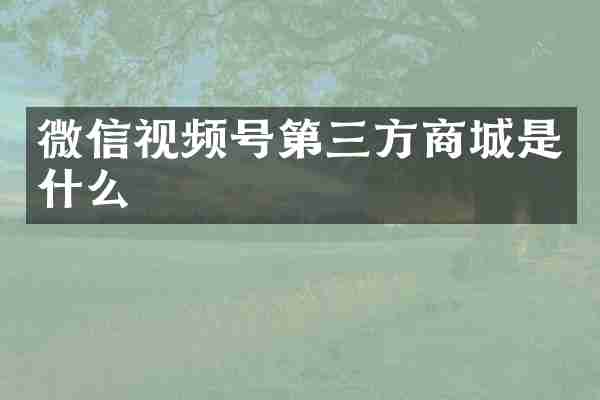 微信视频号第三方商城是什么