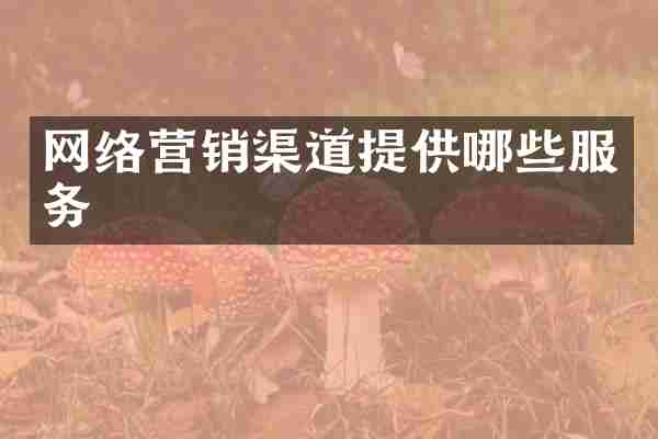 网络营销渠道提供哪些服务
