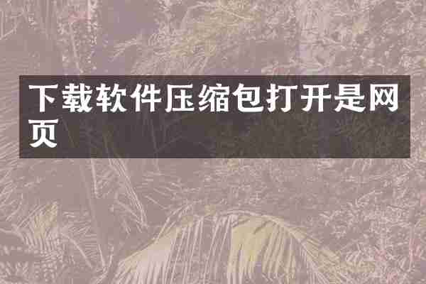 下载软件压缩包打开是网页