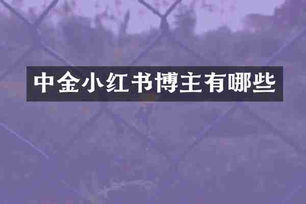 中金小红书博主有哪些