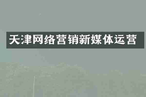 天津网络营销新媒体运营