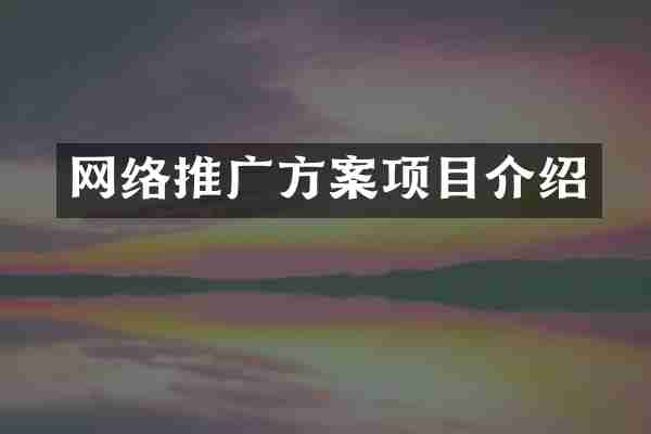 网络推广方案项目介绍