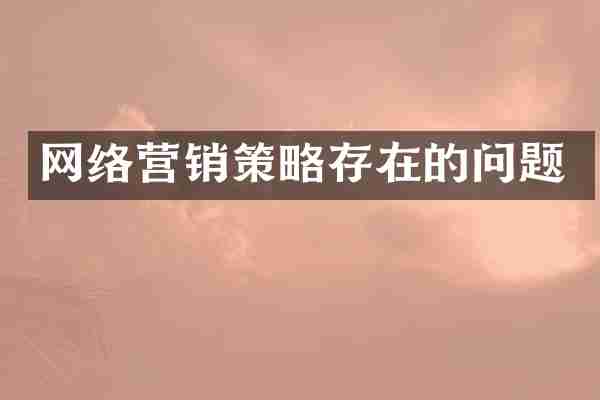 网络营销策略存在的问题