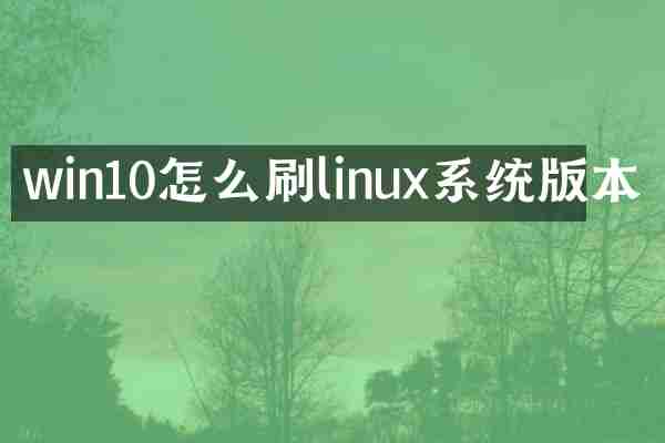 win10怎么刷linux系统版本