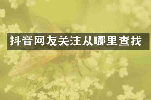 抖音网友关注从哪里查找