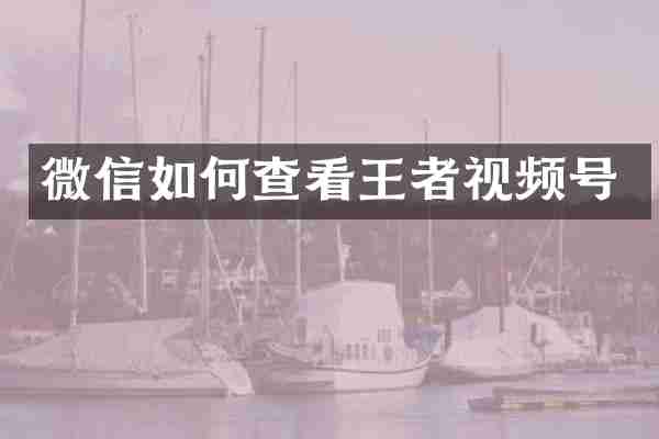 微信如何查看王者视频号