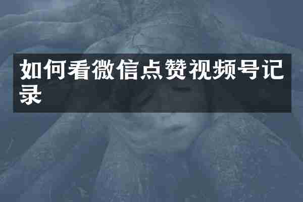 如何看微信点赞视频号记录