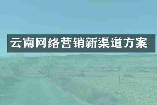 云南网络营销新渠道方案