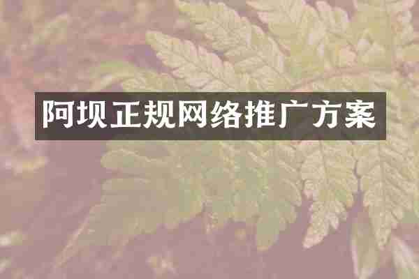 阿坝正规网络推广方案