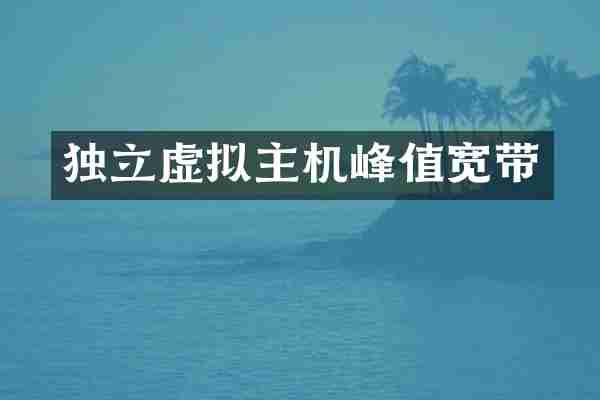独立虚拟主机峰值宽带