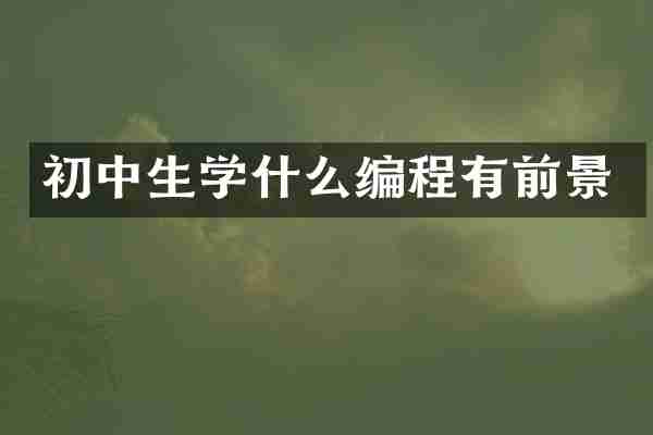 初中生学什么编程有前景