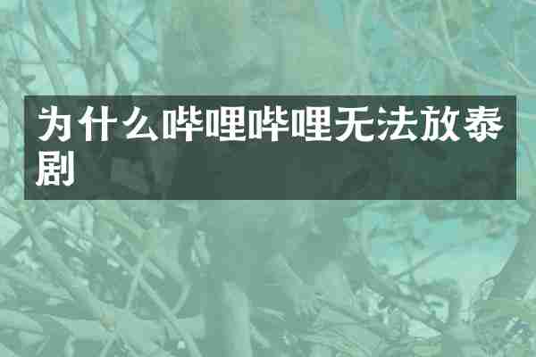 为什么哔哩哔哩无法放泰剧
