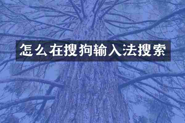 怎么在搜狗输入法搜索