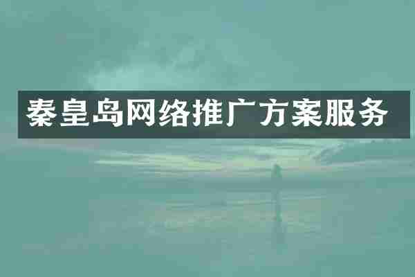 秦皇岛网络推广方案服务
