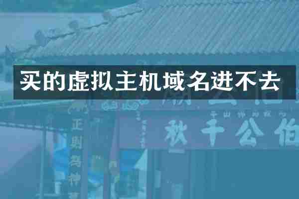 买的虚拟主机域名进不去