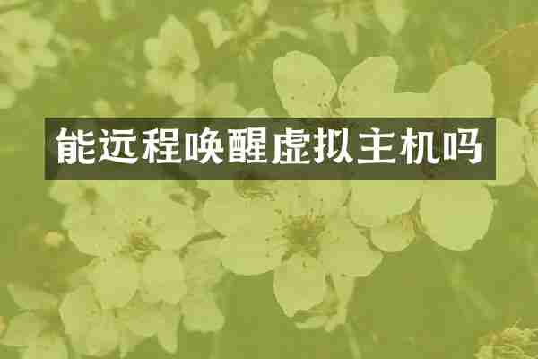 能远程唤醒虚拟主机吗