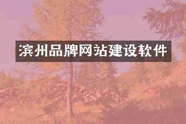 滨州品牌网站建设软件