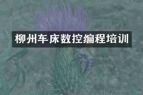柳州车床数控编程培训
