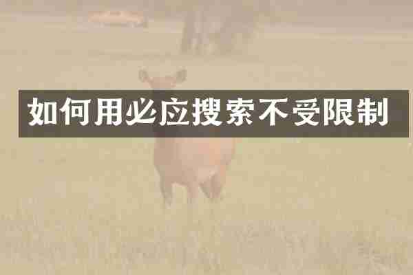 如何用必应搜索不受限制