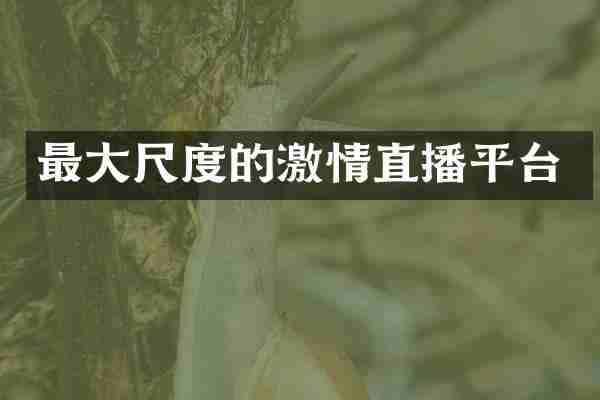 最的直播平台