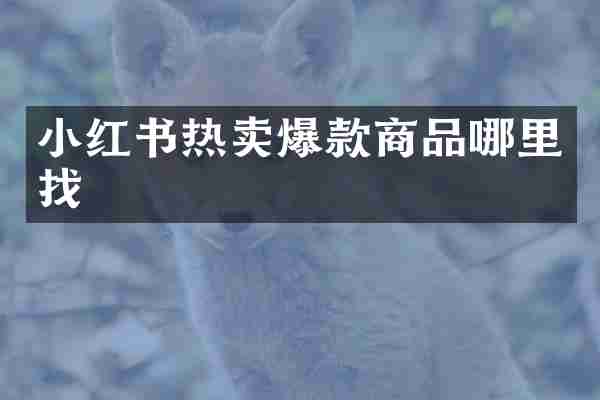 小红书热卖爆款商品哪里找