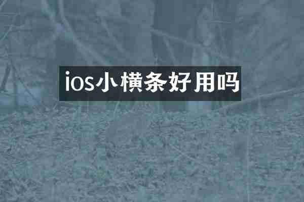 ios小横条好用吗
